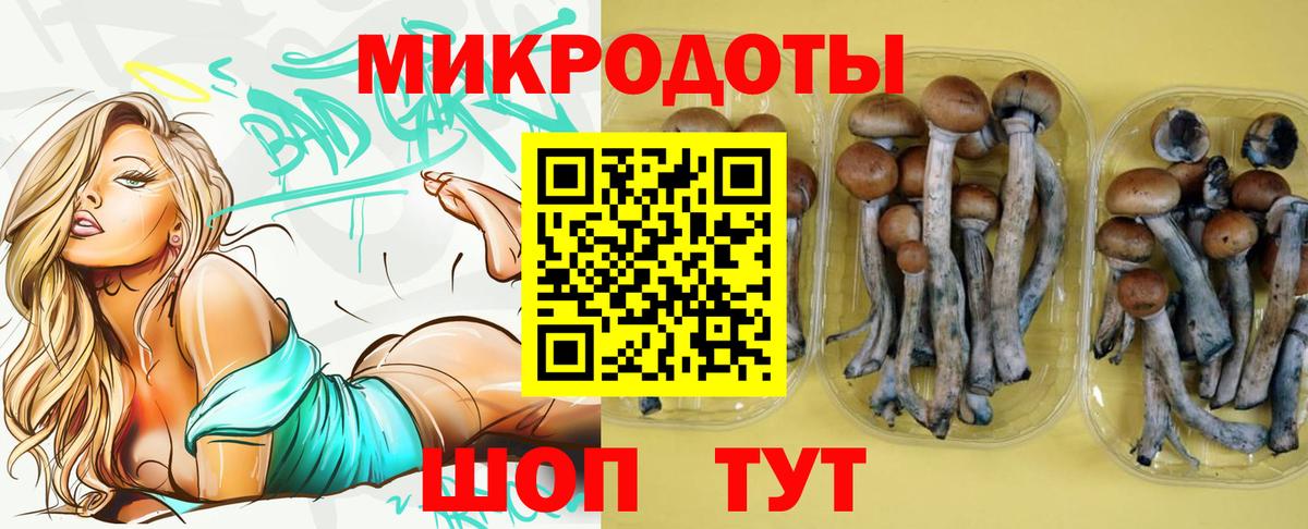 Псилоцибиновые грибы Psilocybine cubensis Воткинск