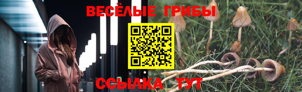 Воткинск  Псилоцибиновые грибы GOLDEN TEACHER  Галлюциногенные грибы мухоморы  как найти закладки  Вход с VPN 